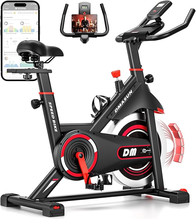 DMASUN Silent Magnetic Resistance Exercise Bike (350 lb, App Compatible)